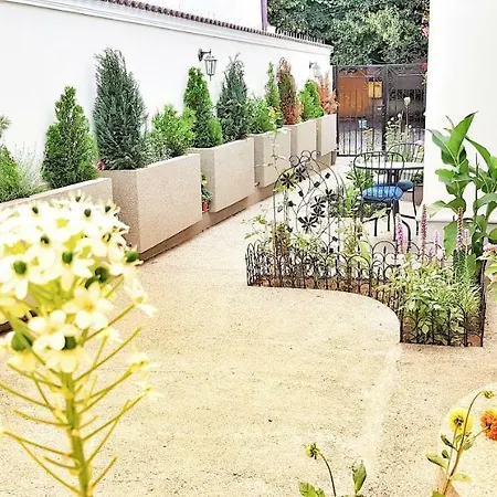 Apartment Adagio Constanta